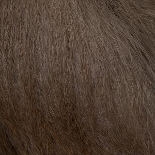 Photo Textures of Monkey Fur